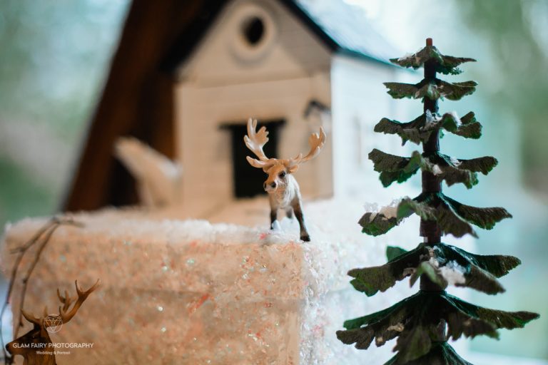 GlamFairyPhotography-Mariage-d-hiver-arye-gregoire