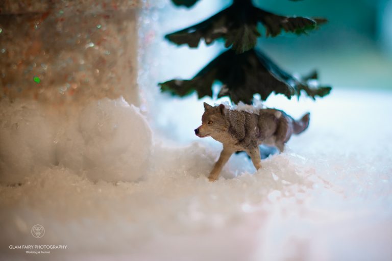 GlamFairyPhotography-Mariage-d-hiver-arye-gregoire